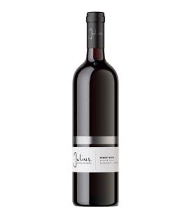 Flasche 75cl Pinot Noir Valais AOC 2022 Alain Mathier Vins de Julius 2022 Alain Mathier Vins de Julius 2022 Schweiz