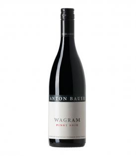 Flasche 75cl Pinot Noir Wagram 2018 Rotwein Österreich Wagram