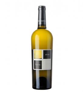 Flasche Attimo Sauvignon Blanc 2021 75cl Weisswein kaufen Venezien 