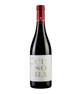 Flasche 75cl Cusora Cabernet Sauvignon Sicilia DOC 2019 Rotwein Italien Sizilien