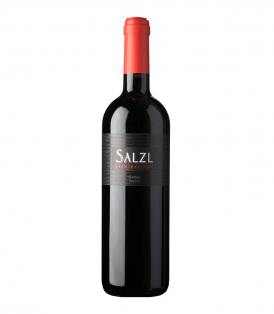 Flasche Syrah Reserve Salzl 2019 75cl Rotwein