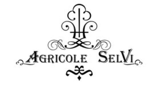 Logo Agricole Selvi Weingut Italien Toskana