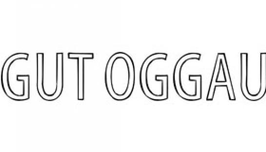 Logo Gut Oggau Österreich Burgenland