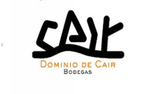 Logo Bodegas Bodegas Dominio de Cair Ribera Del Duero Spanien