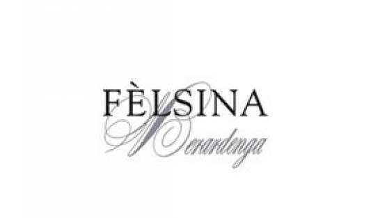Logo Felsina Weingut