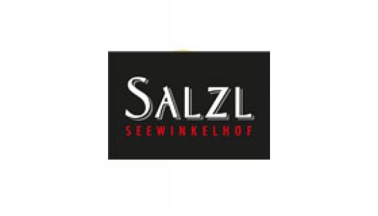 logo_salzl