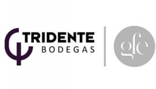 Logo Bodegas Tridente Weingut Castilla y Leon Spanien