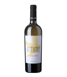 Flasche Attimo Sauvignon Blanc 2021 75cl Weisswein kaufen Venezien 