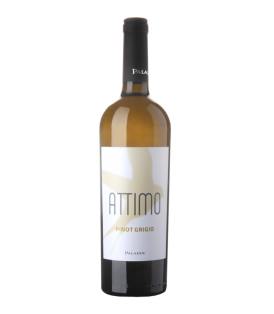 Flasche  Attimo Pinot Grigio 2021 75cl Venezien Italien Paladin