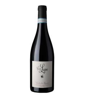 Flasche 75cl Casa Lupo Valpolicella Ripasso 2019 Rotwein Italien Venetien Paladin