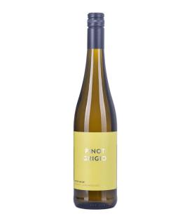 Flasche 75cl Pinot Grigio DOC 2019 Weisswein Italien Pinot Grigio