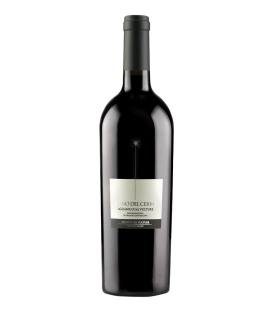 Flasche Piano del Cerro Aglianico 2019 (75cl) Rotwein Italien 