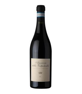 Flasche Amarone Marchesa Margherita 2019 75cl Rotwein Venetien