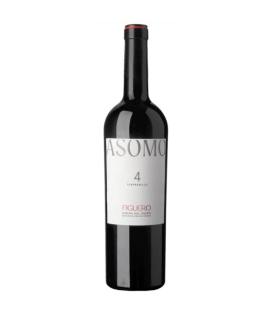 Flasche Figuero 4 2022 75cl Rotwein Spanien Ribera del Duero