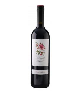 Flasche 75cl Camins del Priorat 2020 Rotwein Priorat Spanien