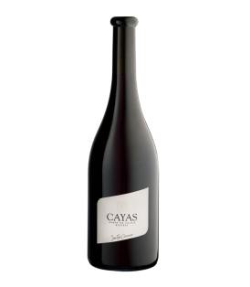 Flashe 75cl Cayas 2018 Rotwein Wallis Domaine Jean-René Germanier