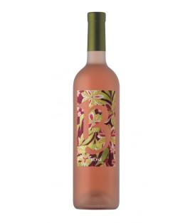 Flasche 75cl 13 Rosé 2023 (75cl) Roséwein Morcote Schweiz Tessin
