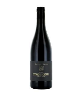 Flasche 75cl Cave du Paradis Symphonie du Paradis AOC Valais 2022 Rotwein Schweiz Walis